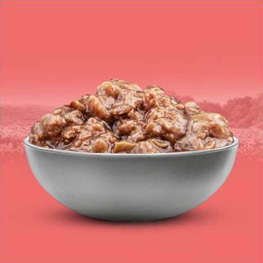 Sache Origens Gatos Castrado Frango E Carne 85g Pr - Imagem 3