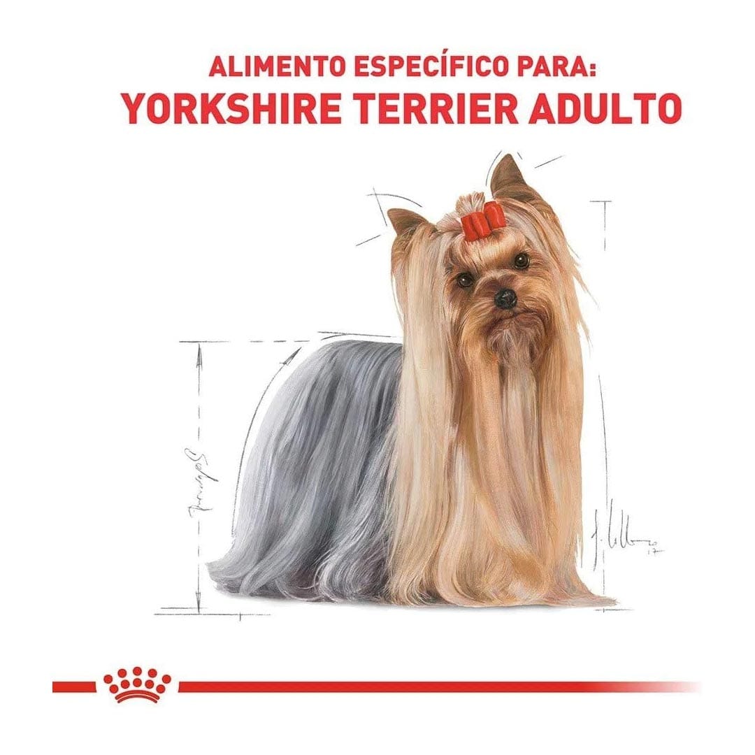 Royal Yorkshire Terrier Adult 7,5kg Promoção - Imagem 3